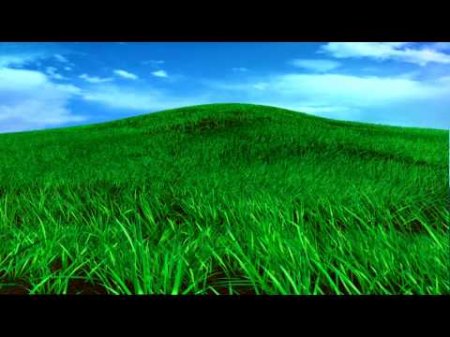Видео обои - Травянистый склон