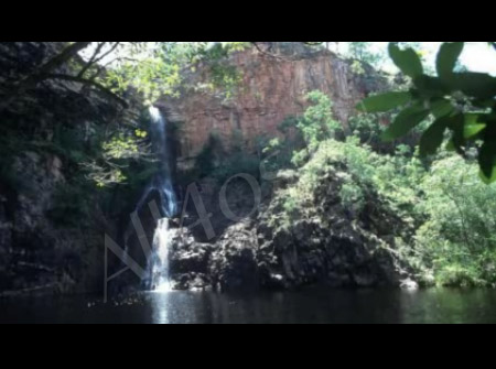 Видео обои - Водопад в джунглях