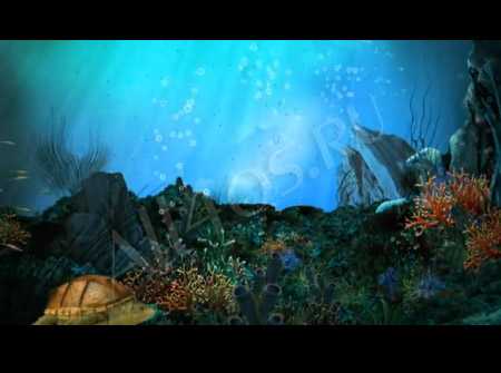 Видео обои - Подводный мир