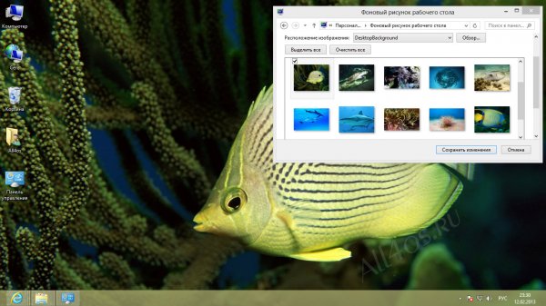 Океанические и Морские темы для Windows 8