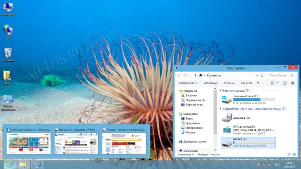 Океанические и Морские темы для Windows 8