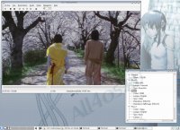 VLC media player -       Linux